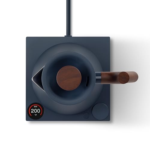 Electric Kettle for Tea Lovers - Quick Heating, Temperature Control, and Brew Timer - Stone Blue with Walnut Handle (0.9 Liter)