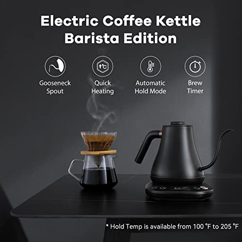 Gooseneck Electric Kettle for Precise Temperature Control