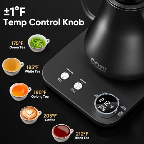 Electric Gooseneck Kettle for Coffee/Tea, 1200W 24H Keep Warm, 0.9L Black