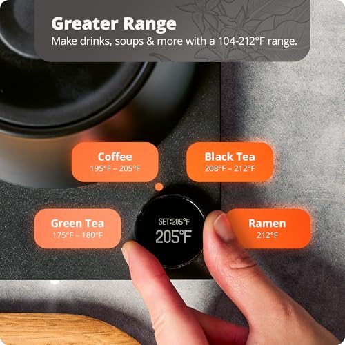 1L BPA-Free Stainless Steel Gooseneck Kettle, 1200W, Onyx Black